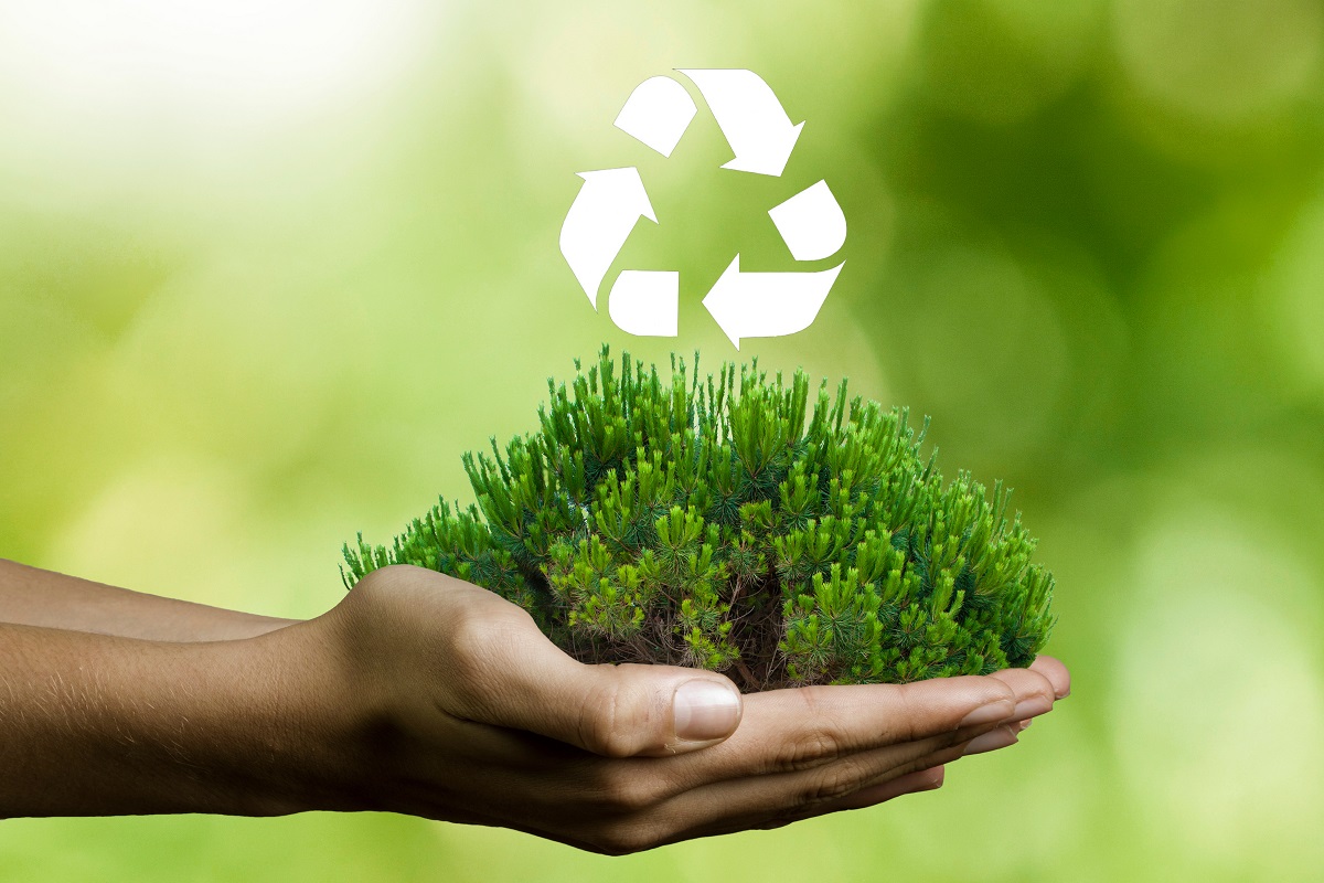 Une forêt dans des mains avec le symbole du recyclage