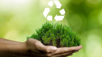 Une forêt dans des mains avec le symbole du recyclage